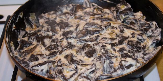 грибы в сметане в духовке запеченные с сыром