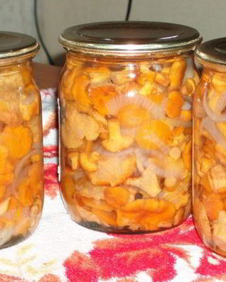 Консервированные жареные лисички