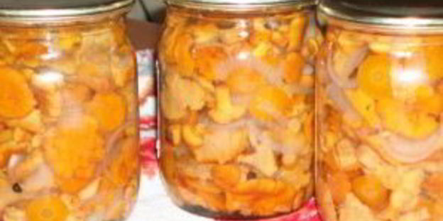 консервированные жареные лисички