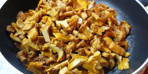 лисички в духовке