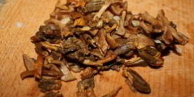 лисички, жареные с рисом