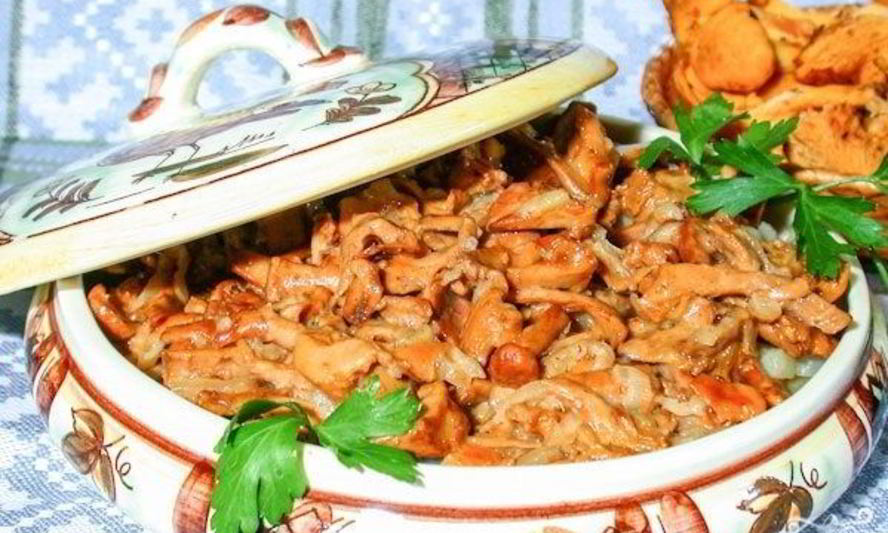 Рецепт лисичек, жареных в сметане