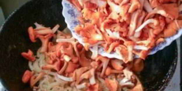 лисички, жареные в сметане