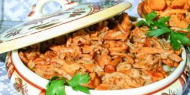 лисички, жареные в сметане