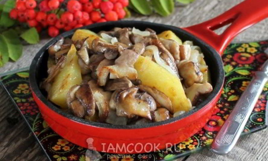 Рецепт маслят жареных с картошкой