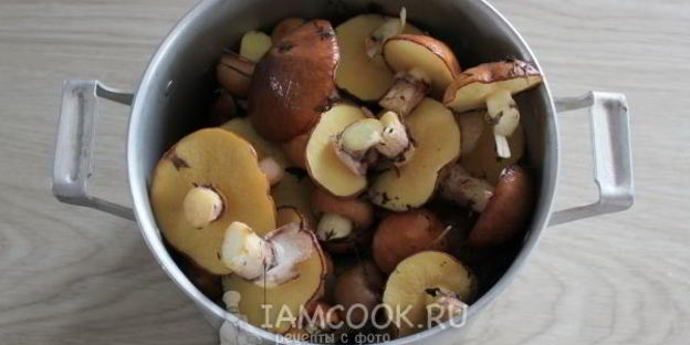 маслята жареные с картошкой