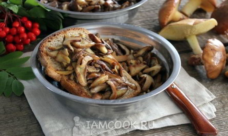 Рецепт маслят жареных