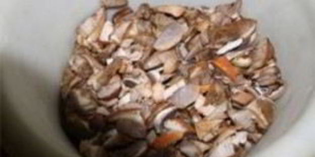 подберезовики жареные