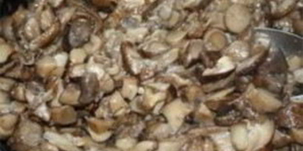 подберезовики жареные