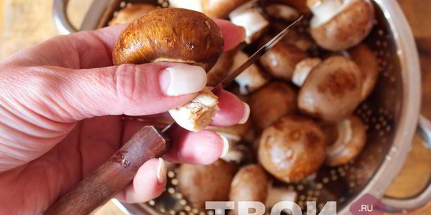 шампиньоны гриль