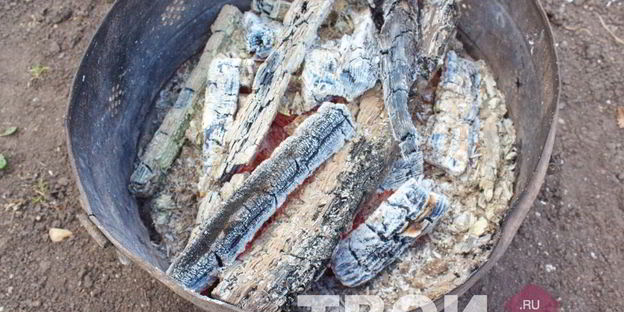 шампиньоны гриль