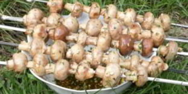 шампиньоны на шампурах