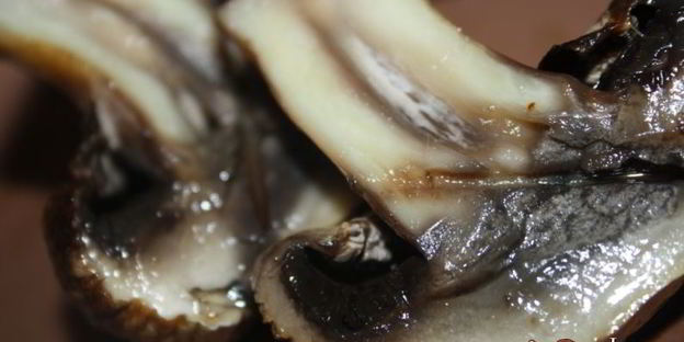 шампиньоны с чесночным ароматом на мангале