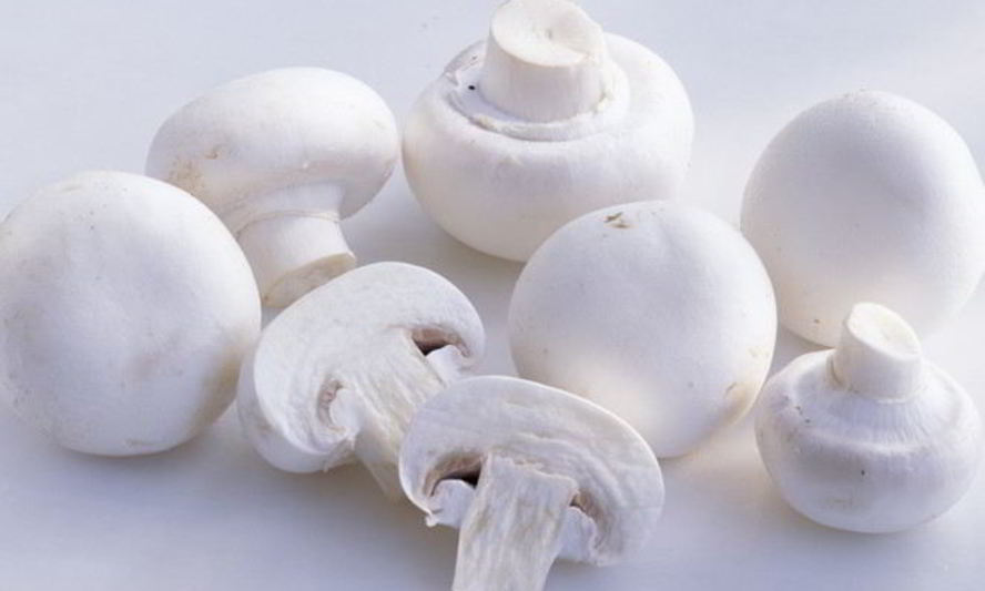 Рецепт шампиньонов в сливочном соусе