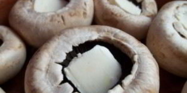 шампиньоны, запеченные с сыром в духовке