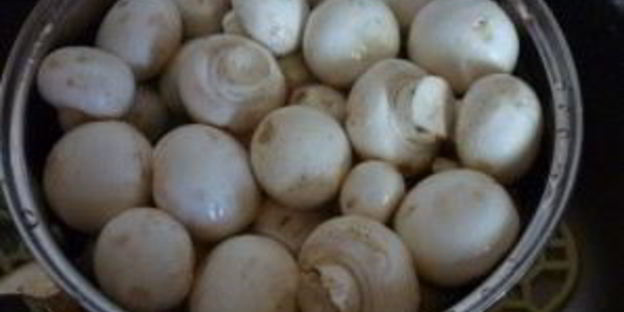 шампиньоны, запеченные с сыром