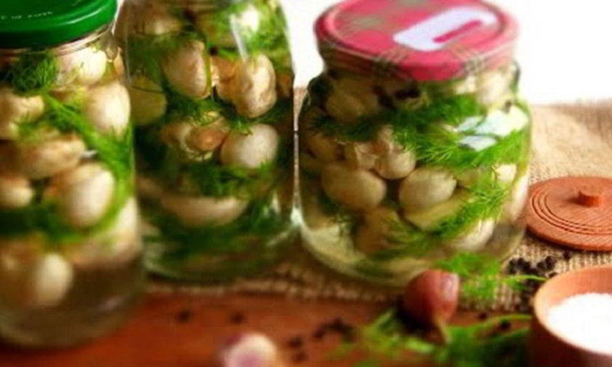 Рецепт соленых шампиньонов