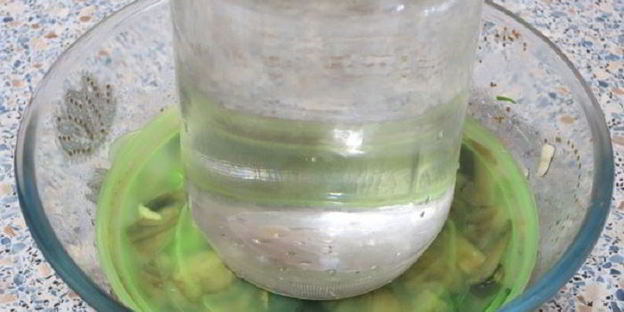 соленые шампиньоны