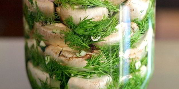 соленые шампиньоны