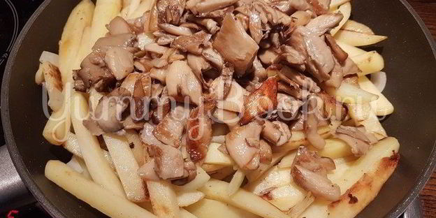 вешенки с жареной картошкой