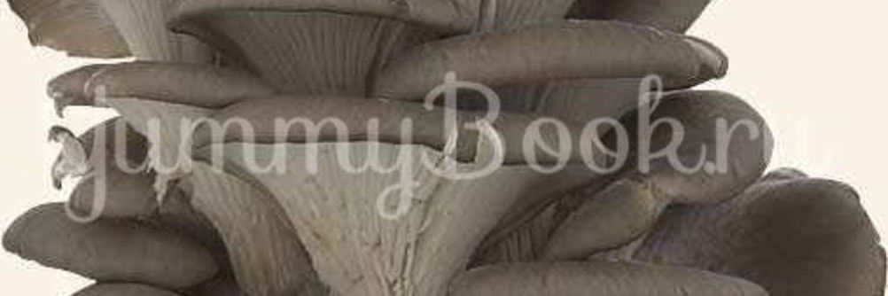 Вешенки в маринаде