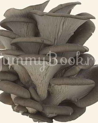 Вешенки в маринаде