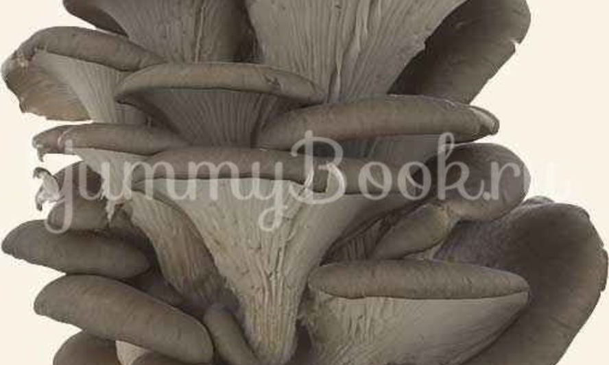 Рецепт вешенок в маринаде