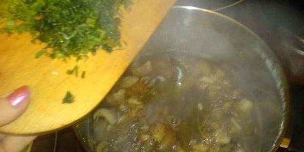 вешенки в маринаде