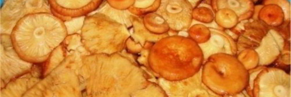 Волнушки жареные