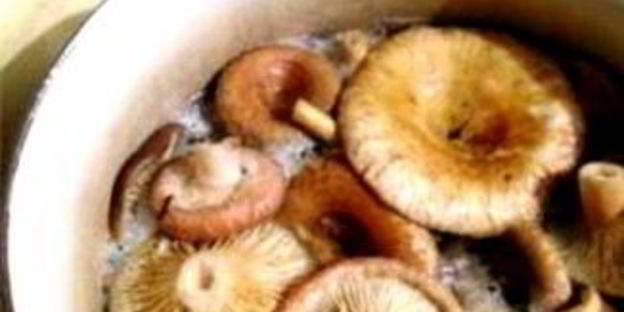 волнушки жареные