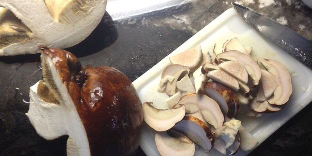 жареные подосиновики