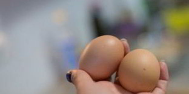 рубленые котлеты из куриной грудки