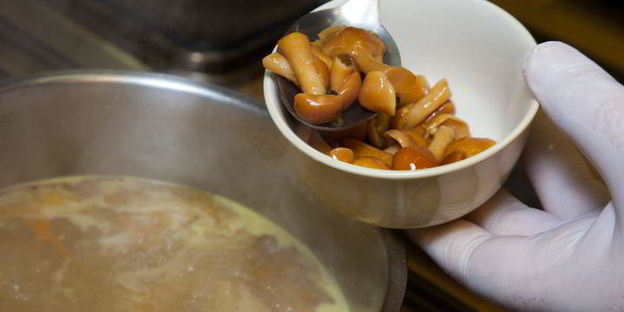 куриная лапша с опятами