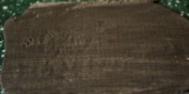 лапша с чернилами каракатицы