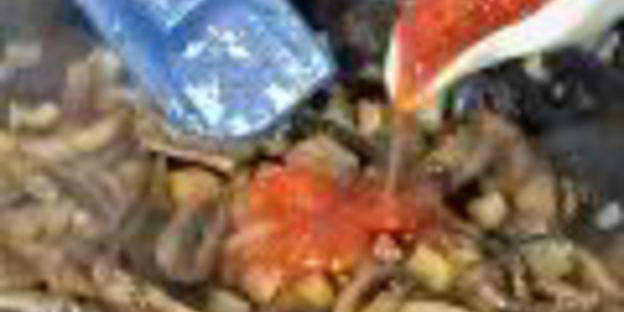 лазанья из домашнего теста