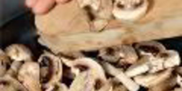 лазанья из домашнего теста