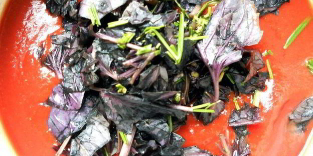 лазанья из ржаных блинчиков с курицей, томатами и базиликом