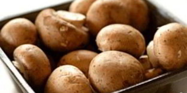 лазанья с курицей, грибами и шпинатом