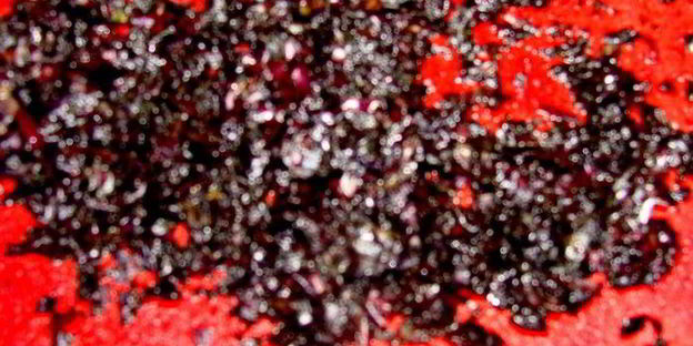 домашняя базиликовая паста с овощами гриль и пармезаном