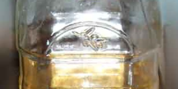 каннеллони с мясом и грибами