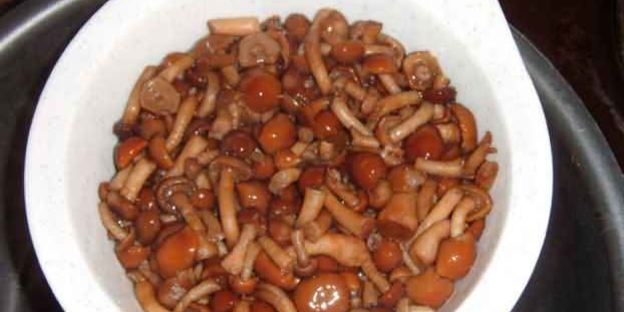 каннеллони с мясом и грибами