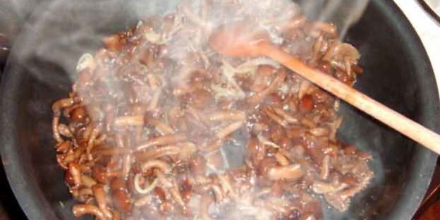 каннеллони с мясом и грибами