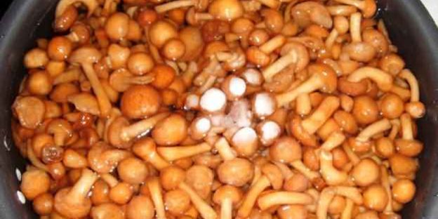 каннеллони с мясом и грибами