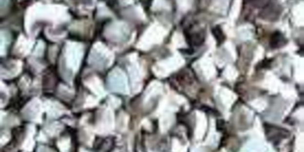 макароны с грибами и курицей