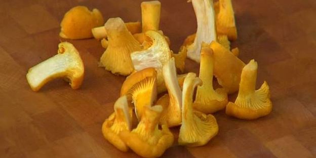 макароны с лисичками и сметаной