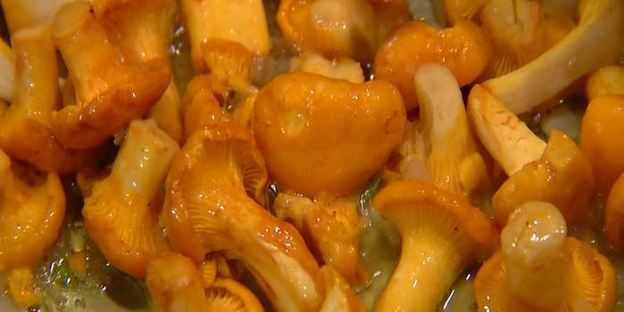 макароны с лисичками и сметаной