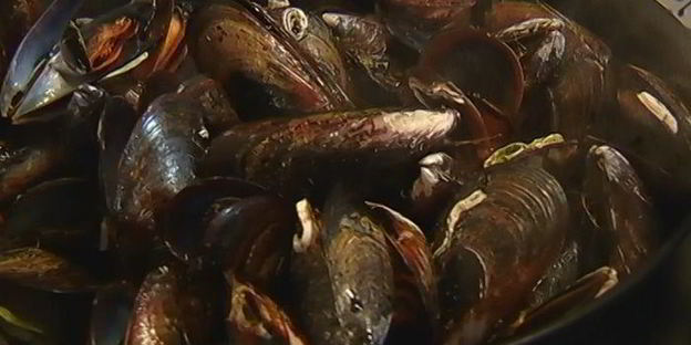 макароны с мидиями под соусом из сидра