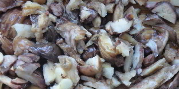 паста овощной урожай