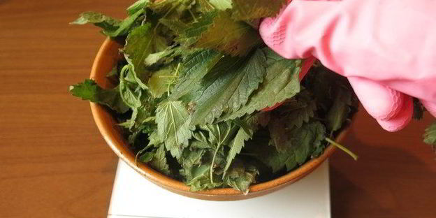 паста с крапивой и шпинатом