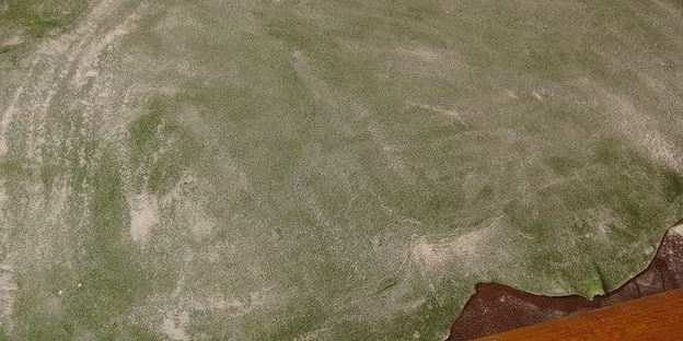 паста с крапивой и шпинатом